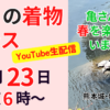 着物プラス　夫婦着物
