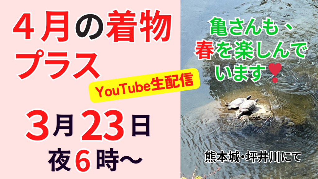 着物プラス　夫婦着物