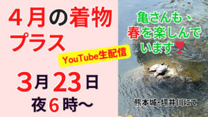 着物プラス　夫婦着物