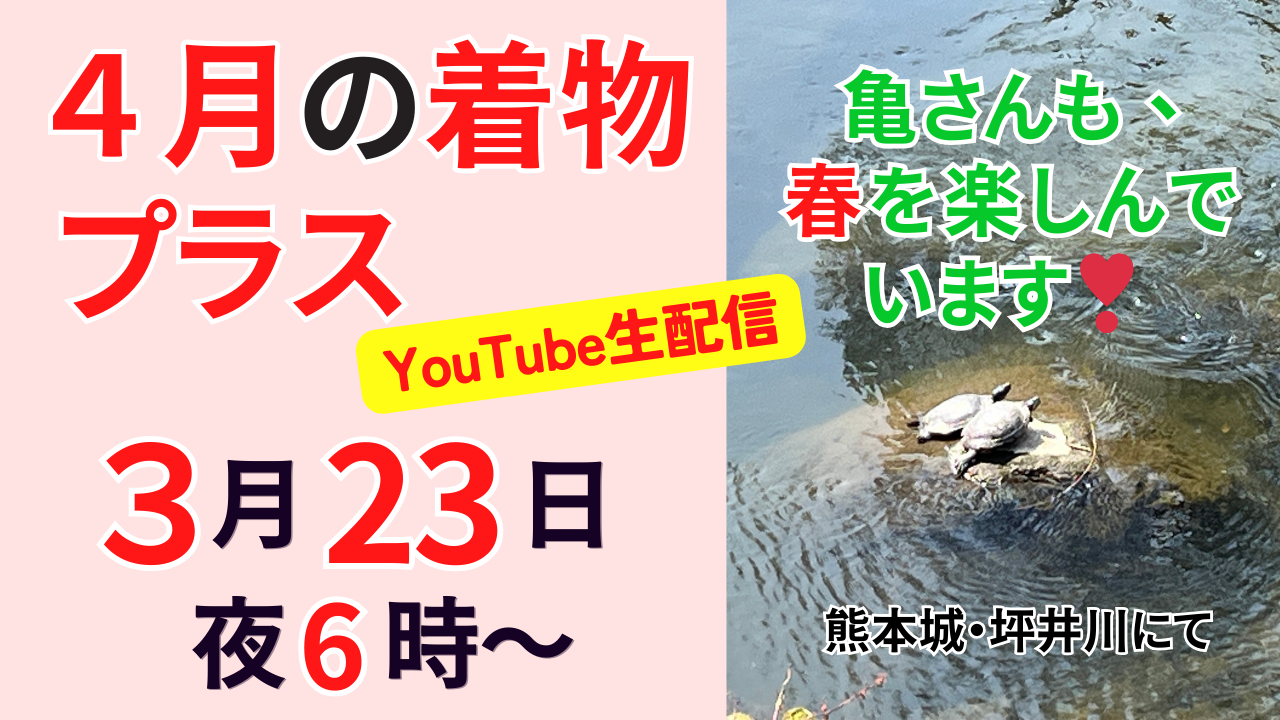 着物プラス　夫婦着物