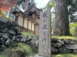 この道を歩く